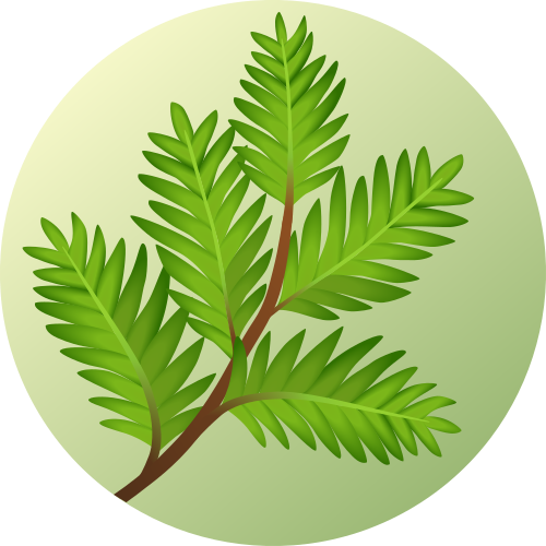 Codigrate Sequoia Theme